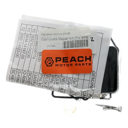 Carburetor Repair Kit (For single carburetor) thumbnail-1