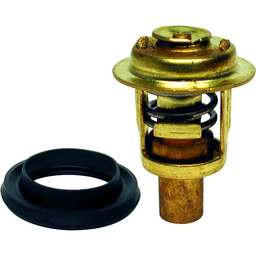 Thermostat (13010) thumbnail-0
