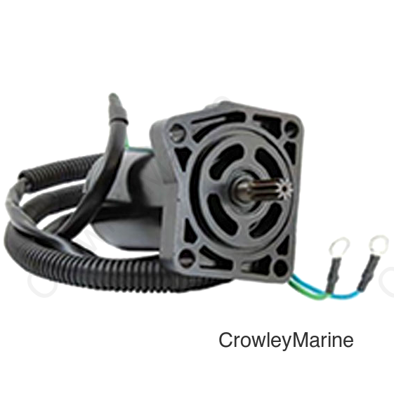 Trim Motor