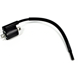Ignition Coil Assembly