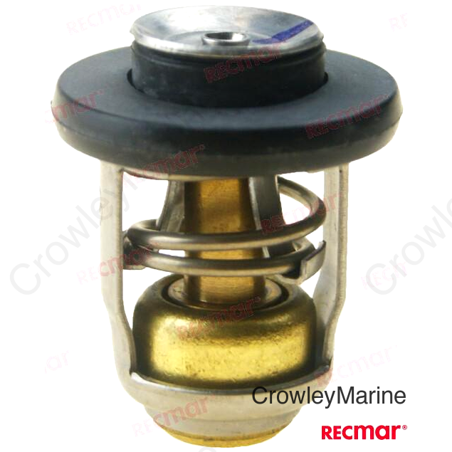 THERMOSTAT 60DG (REC855676002)