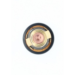Thermostat thumbnail-3