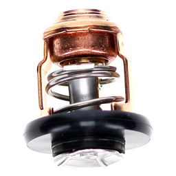 Thermostat thumbnail-2