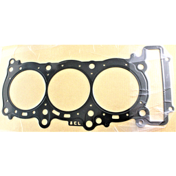 Cylinder Head Gasket