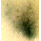 UN - img0.jpg-8M0122064