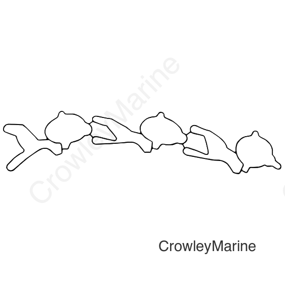 Intake Seal