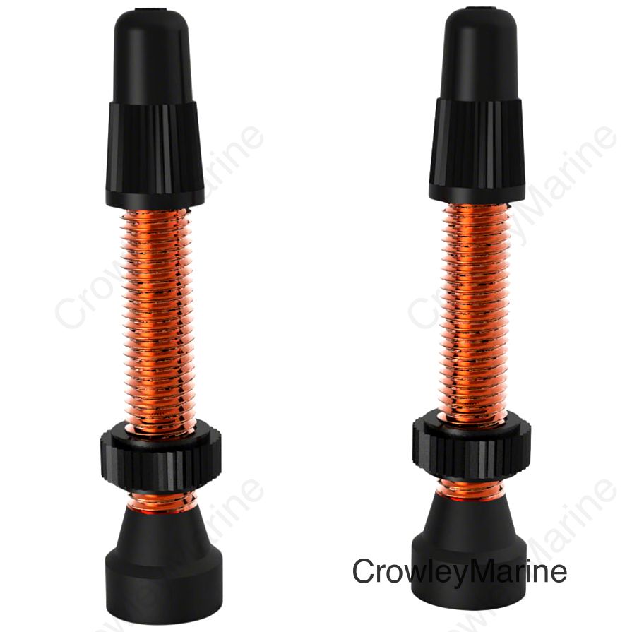 WTB Aluminum TCS Tubeless Valves: 46mm Orange Pair
