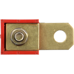Extra image-79023T10