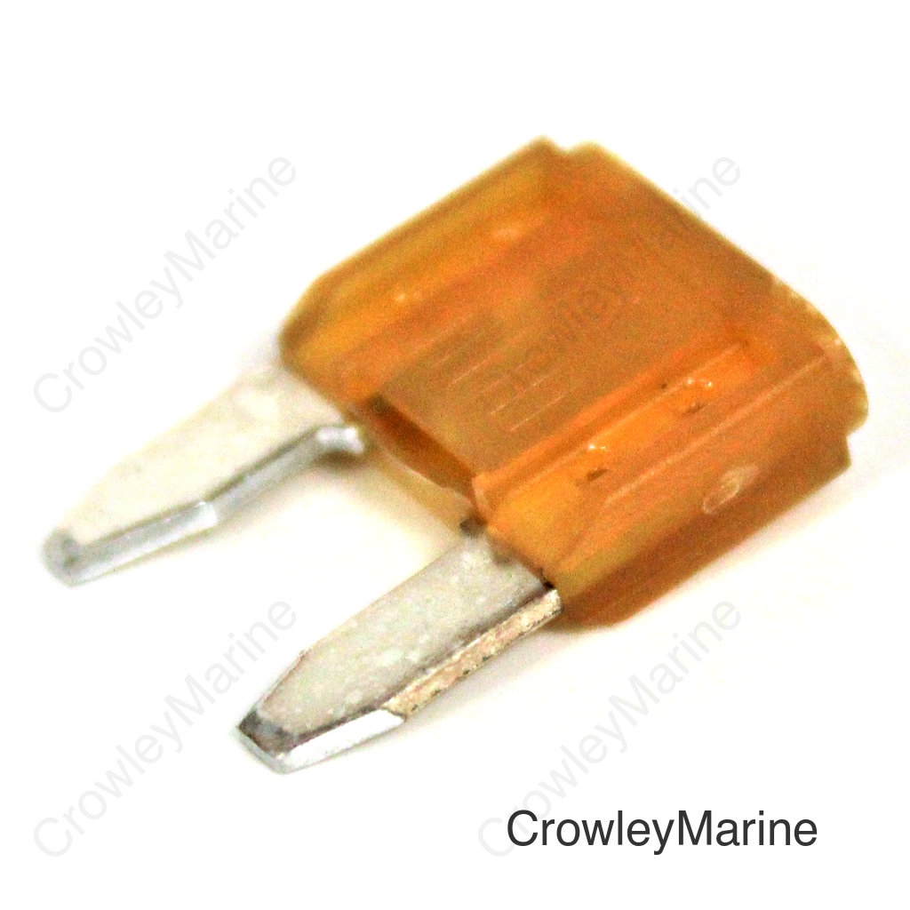 Fuse (5A)