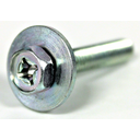 Screw With Washer