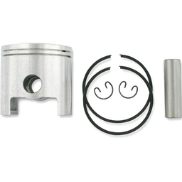 PISTON ASSY, POLARIS STD
