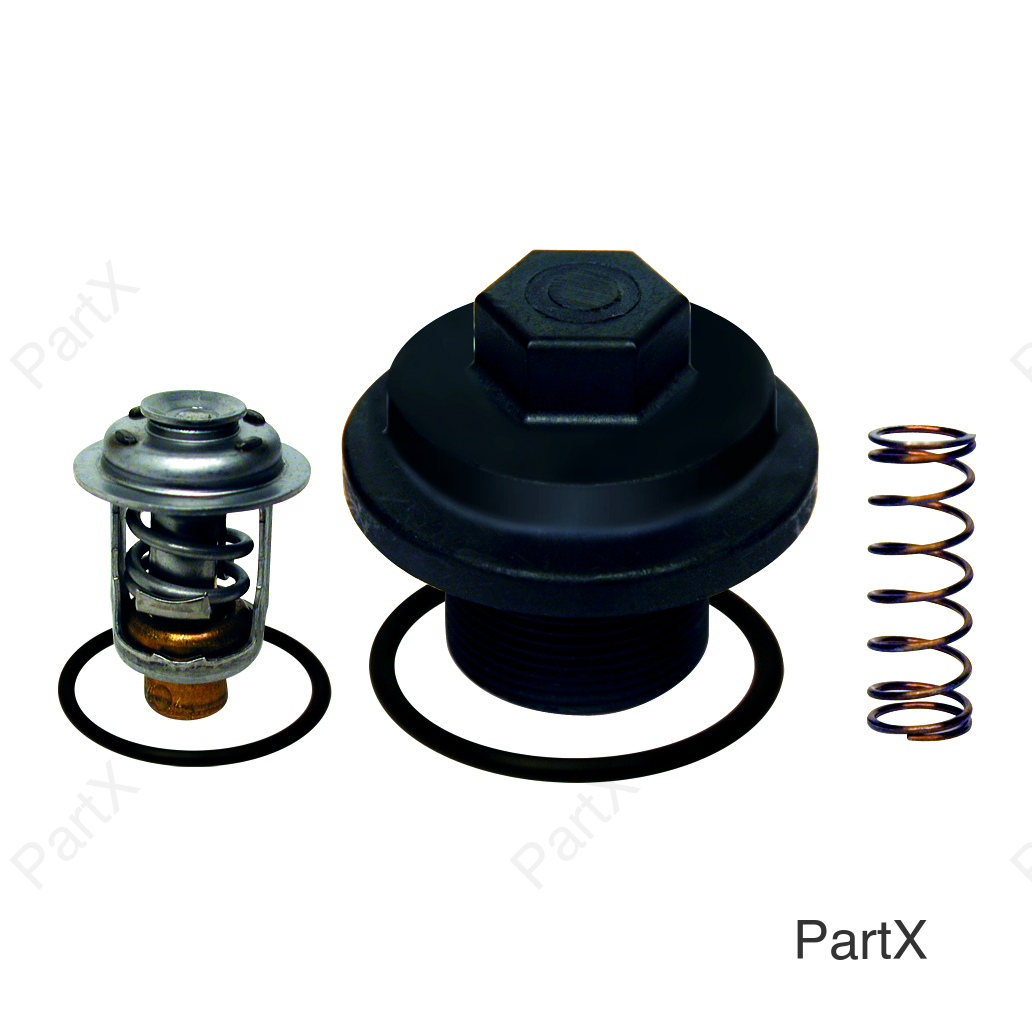 Thermostat Kit- Lower Flow