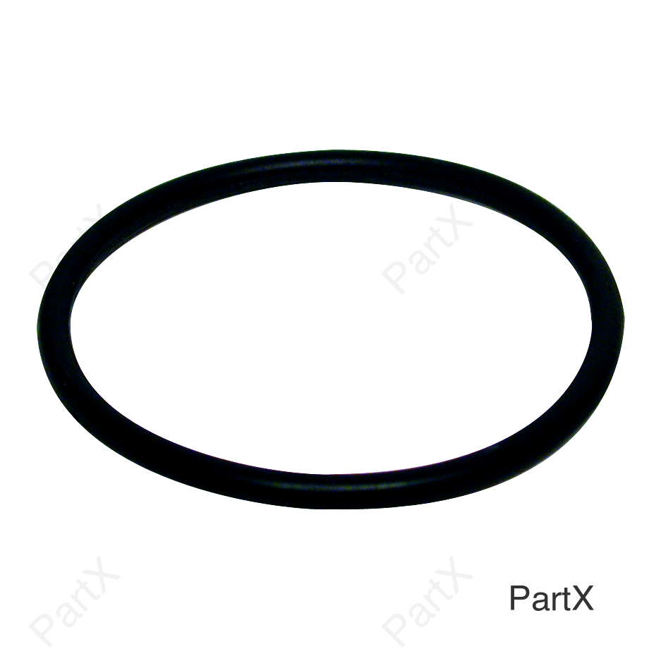 O-Ring (81290)