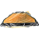 Element Assembly (Air Cleaner)