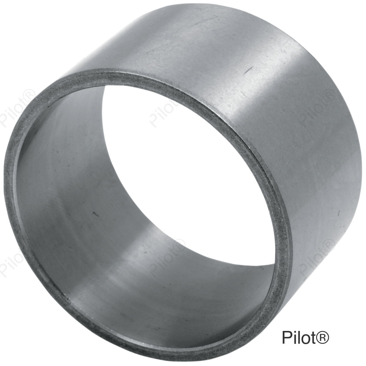 Ride Side Crankcase Bearing Race - Standard - Big Twin