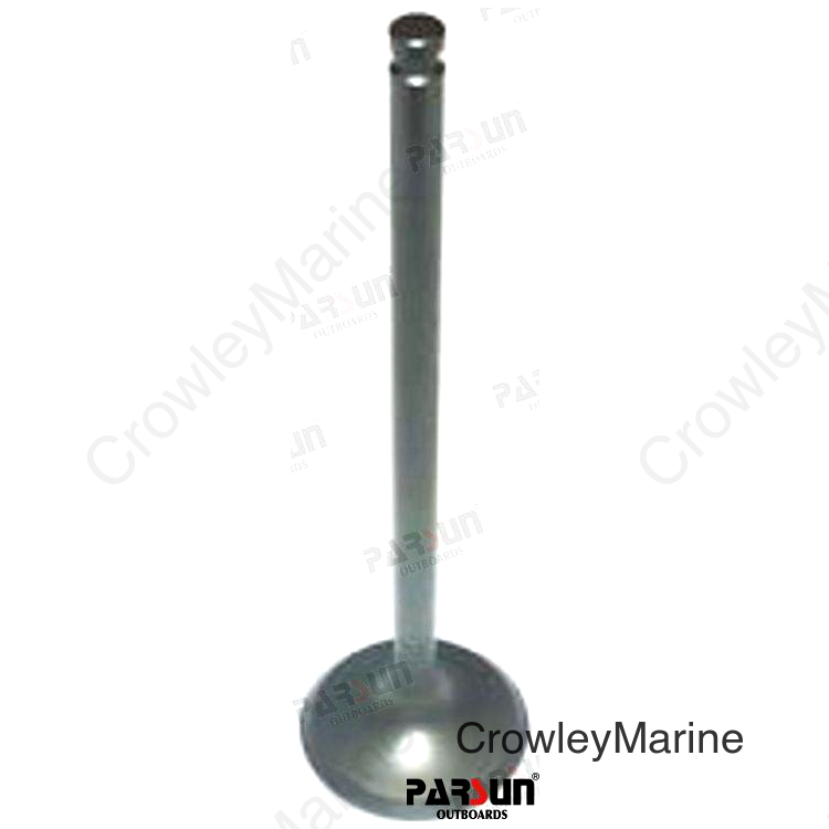 VALVE, INTAKE (PAF25-05050001)
