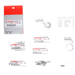 Water Pump Repair Kit