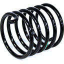 Torsion Spring