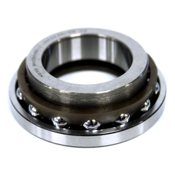 Special Bearing