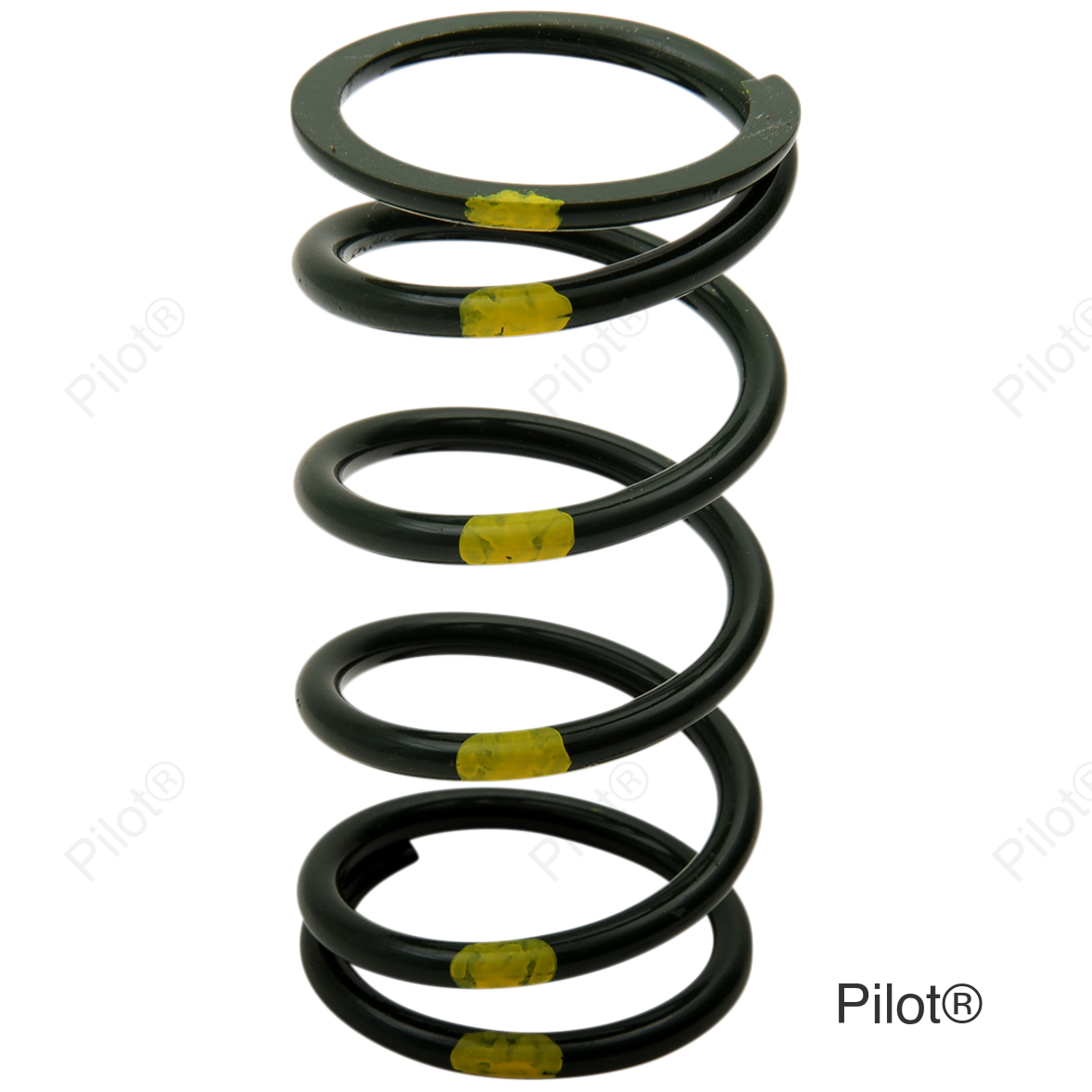 Primary Spring