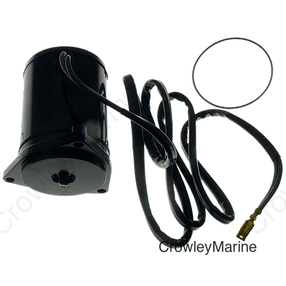 Tilt & Trim Motor