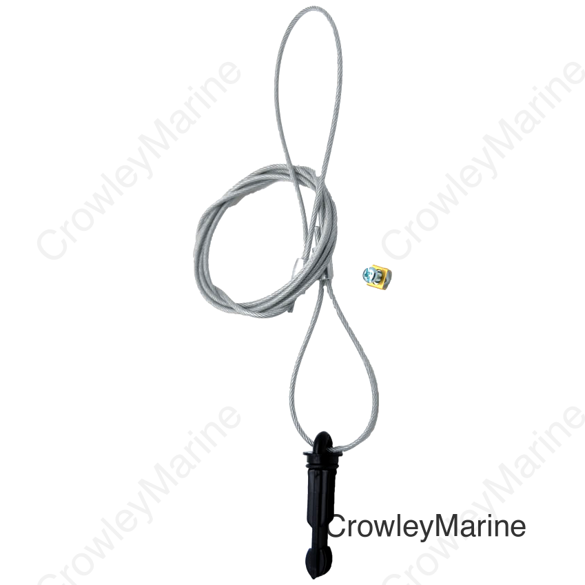 4'LANYARDW/PIN