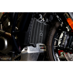 Radiator Guard - Pan America thumbnail-0