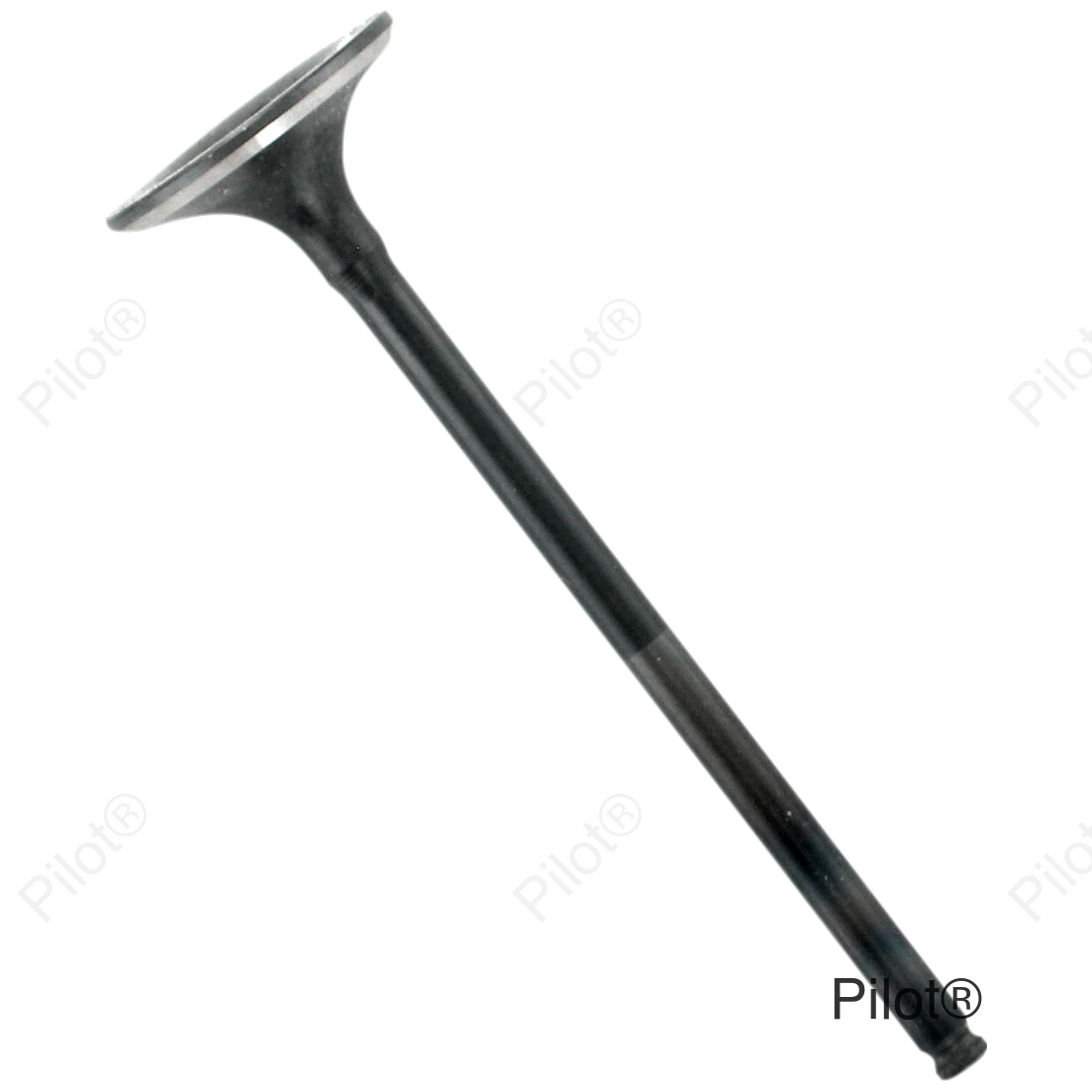 Exhaust Valve