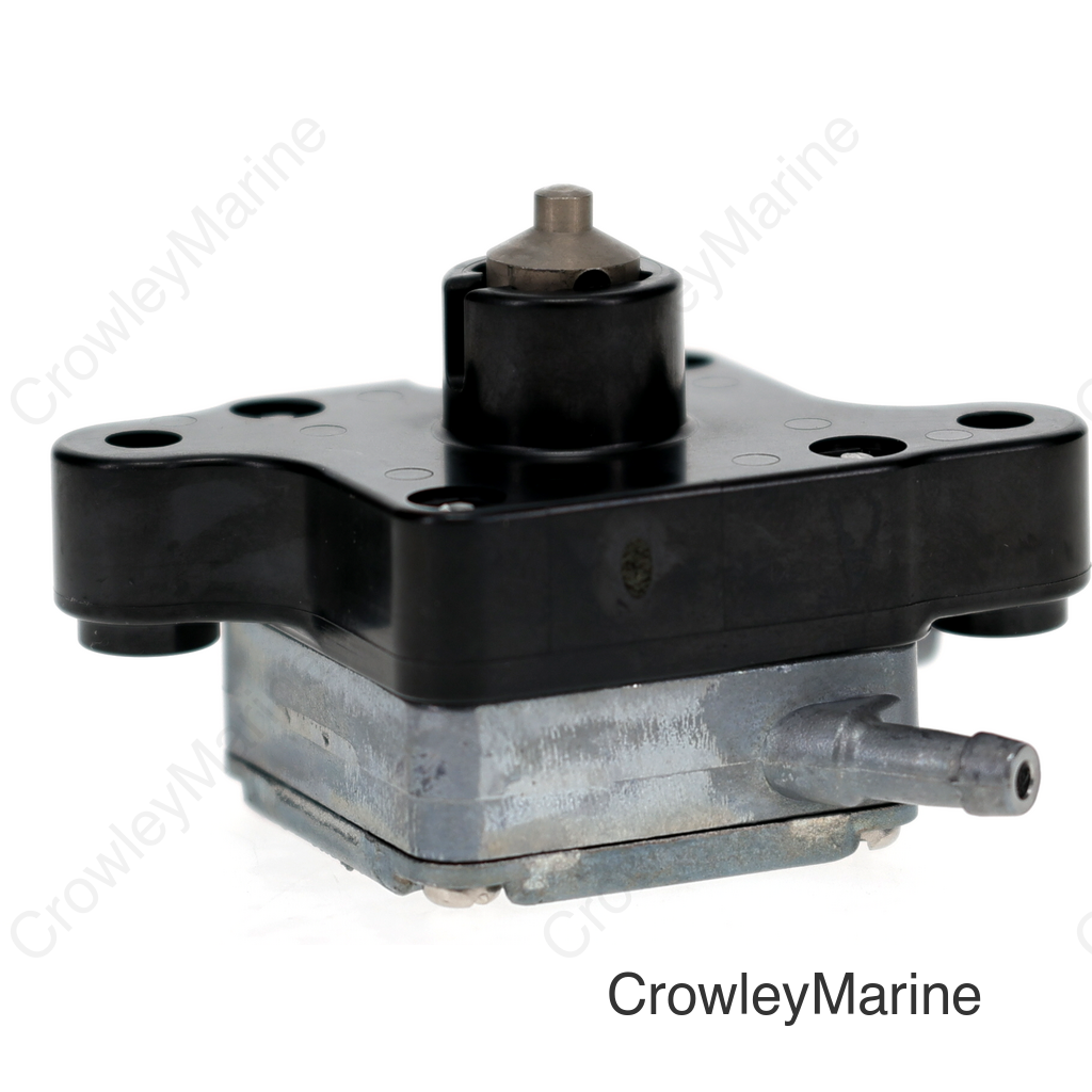 Fuel Pump Assembly
