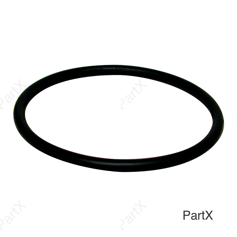 O-Ring (84250)