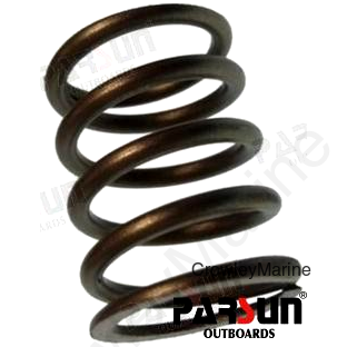 SPRING VALVE (PAF6-04050003)