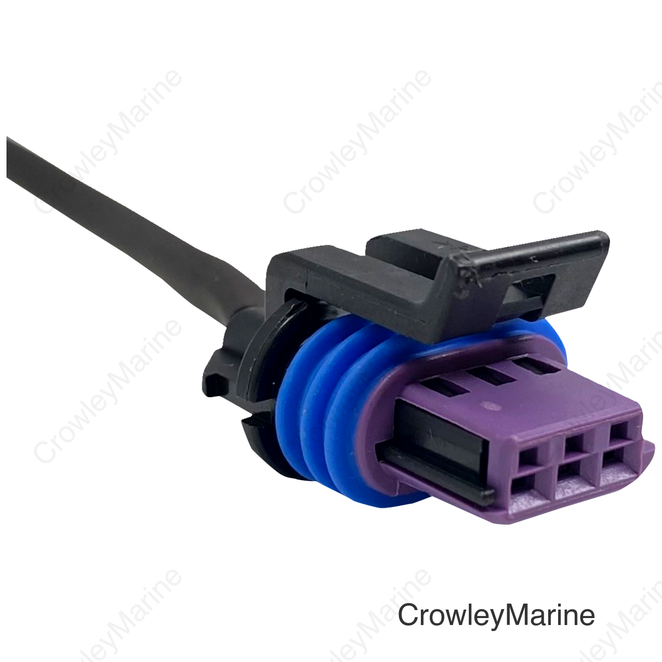 SPEED SENSOR PIGTAIL HARNESS POL