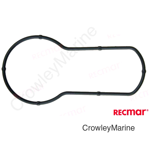RING GEAR CASE SEAL (REC55122-94400)
