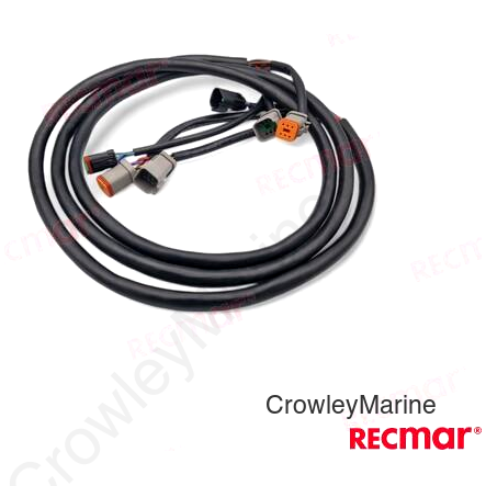 EXTENSION ARNES 10FT (3M)