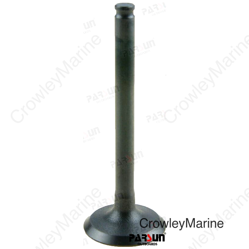DOOR, INTAKE (PAF4-04080005)