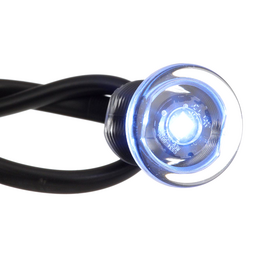 Seachoice Livewell Light, Mini LED Accent, Blue, Waterproof, 50,000 Hours thumbnail-6