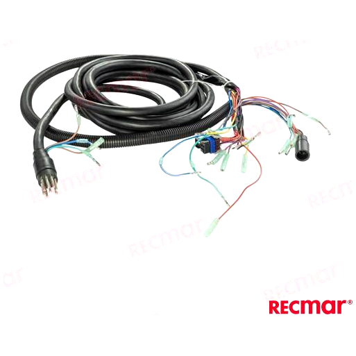 -REC8M0143201