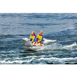 Dolphin Riding Tube - Towable thumbnail-12