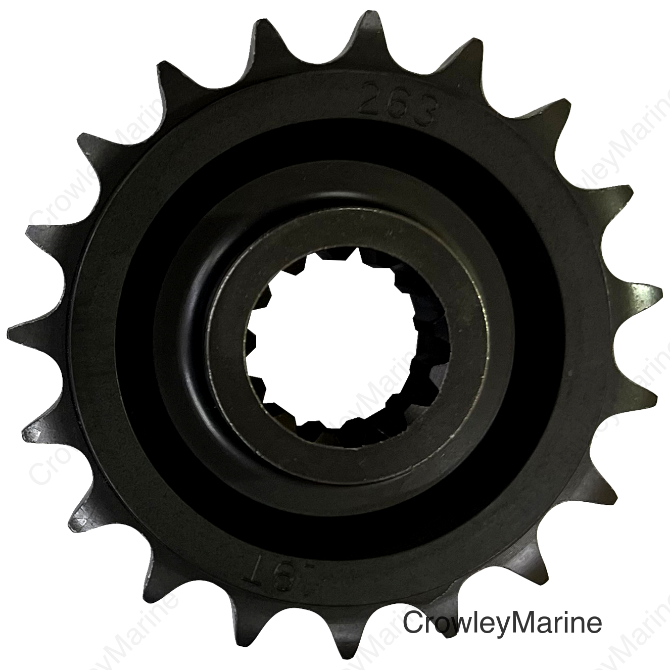 SPROCKET FRT 19T 21-23 RA1250