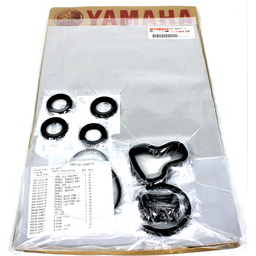 Lower Unit Gasket Kit