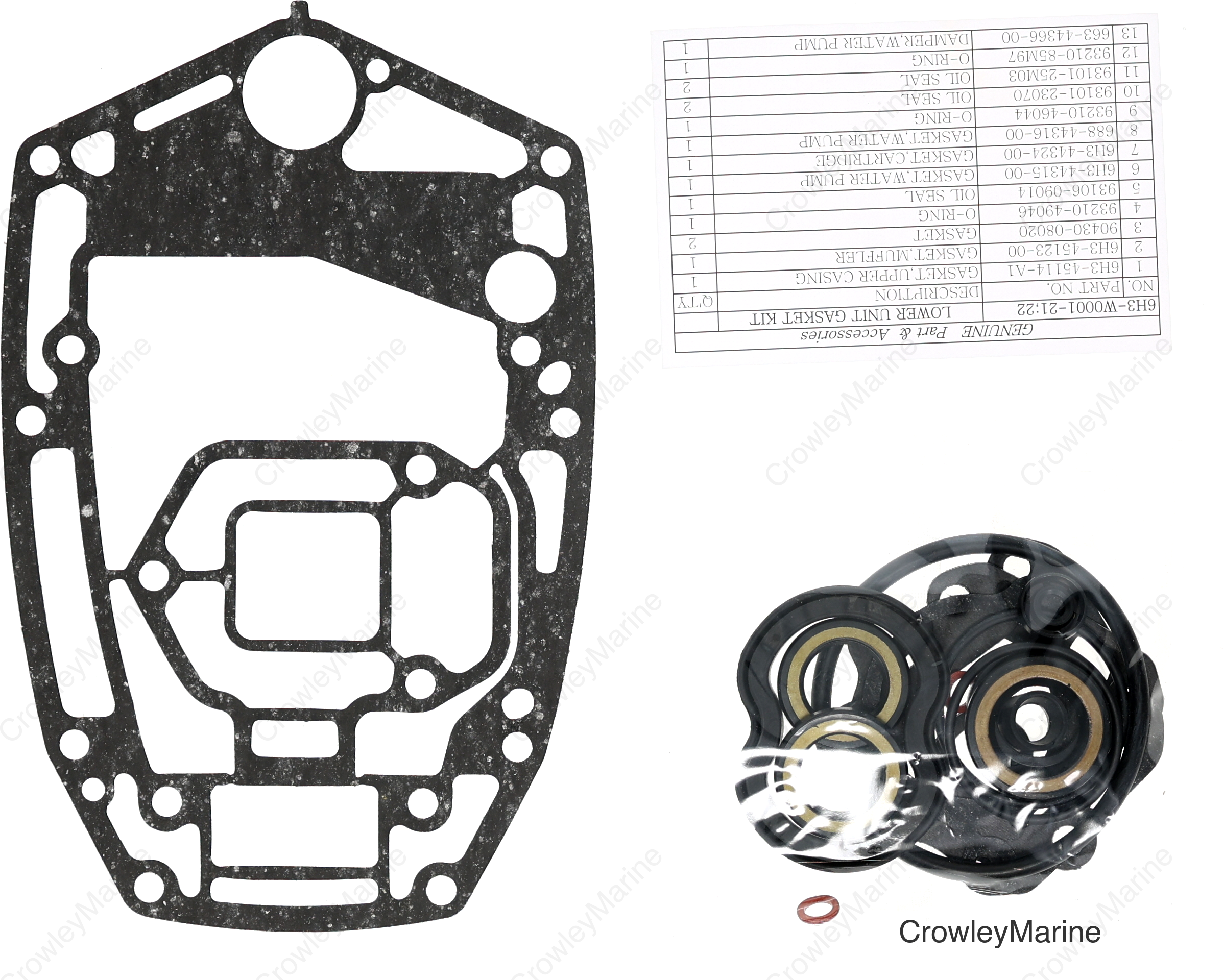 Lower Unit Gasket Kit