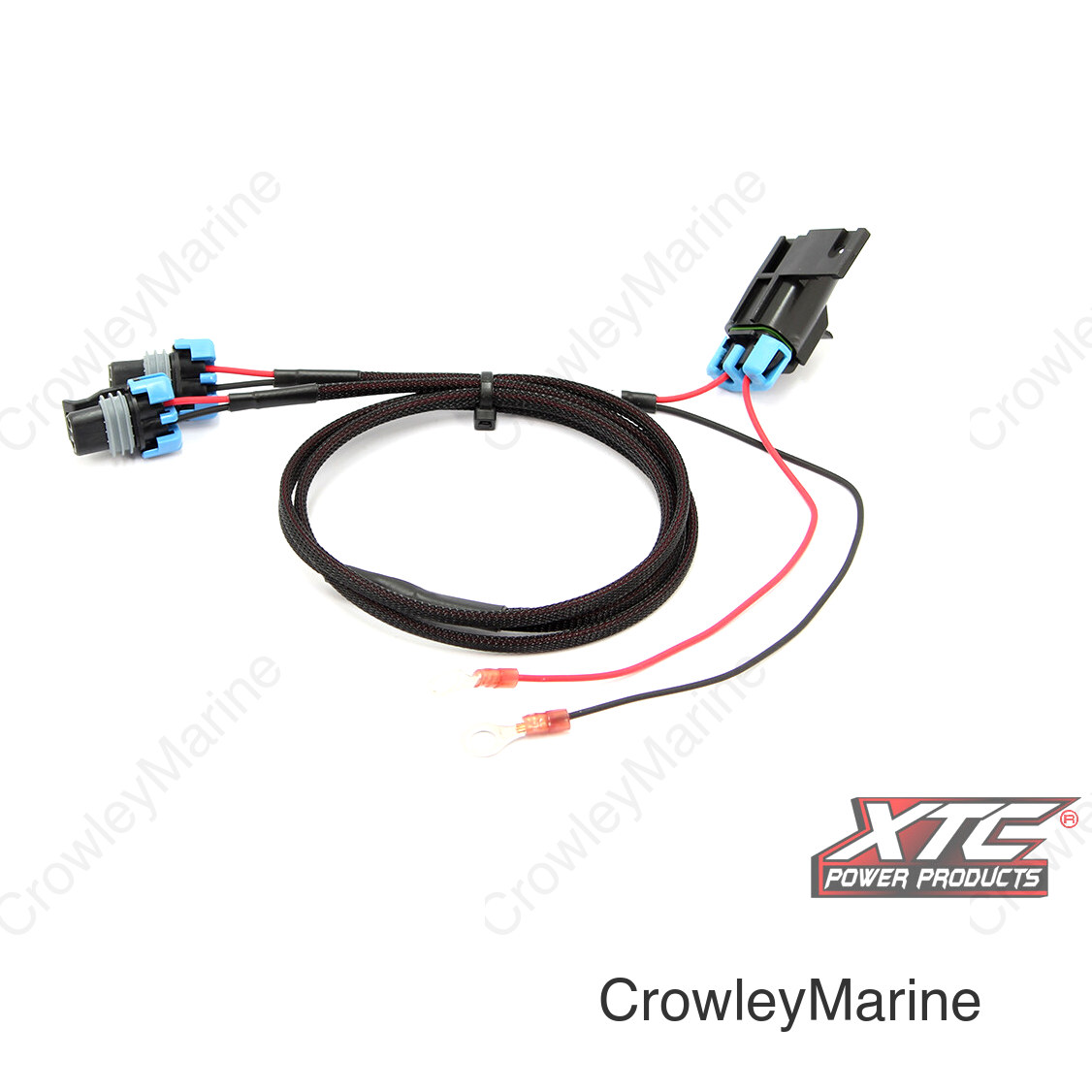 FANG LIGHT UPGRADE HARNESS