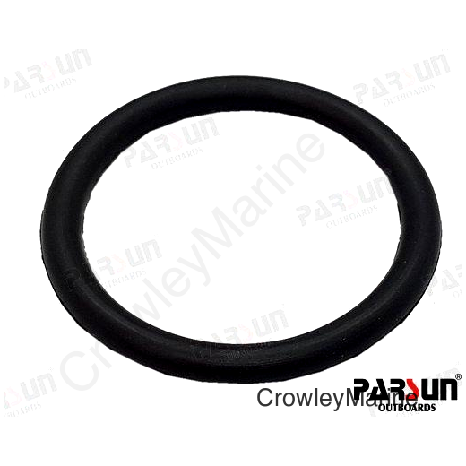 O-RING (PAJA80F40431-025)