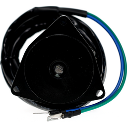 Tilt & Trim Motor thumbnail-6