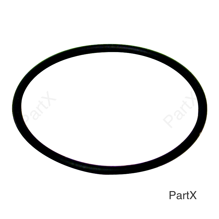 O-Ring (45400)