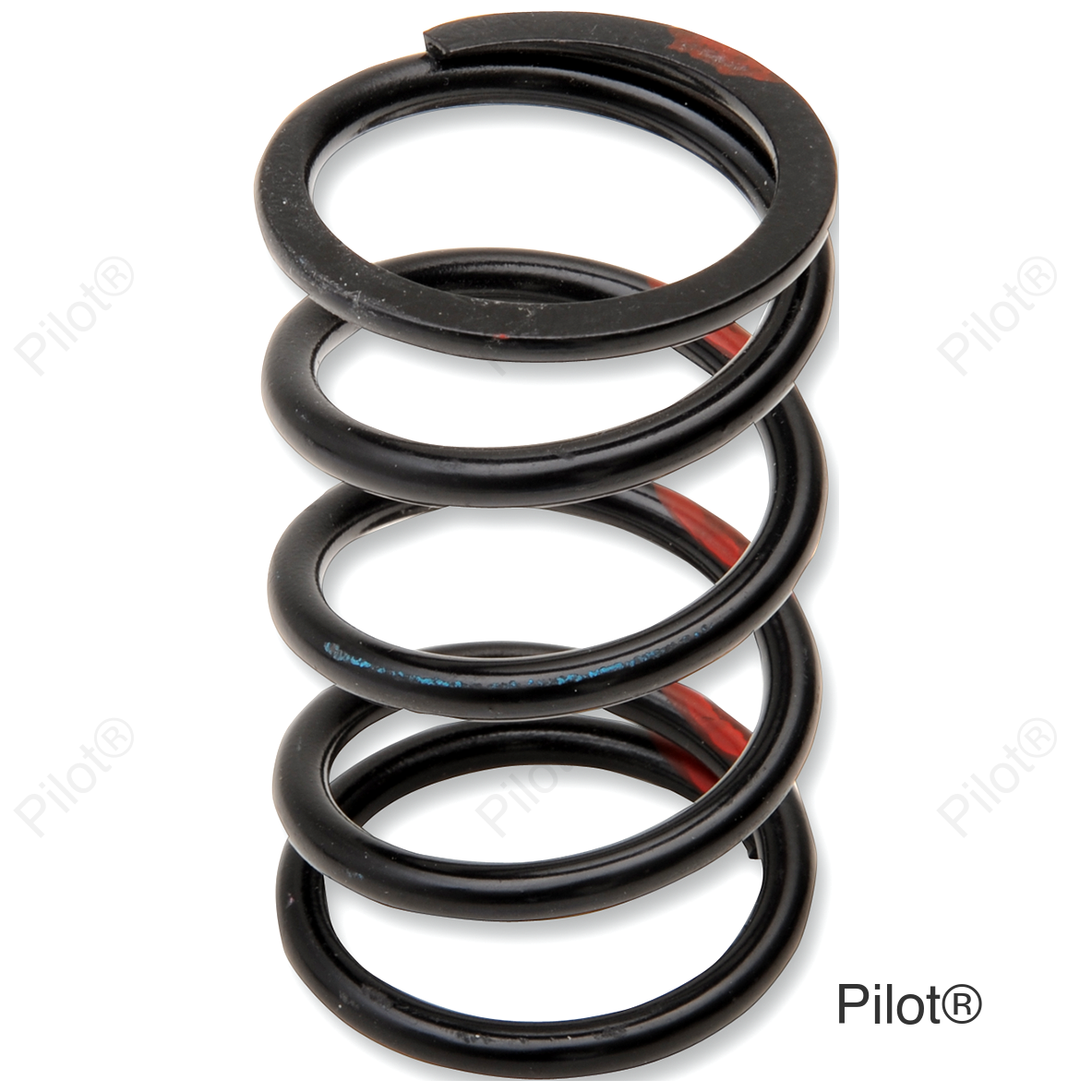 Primary Spring