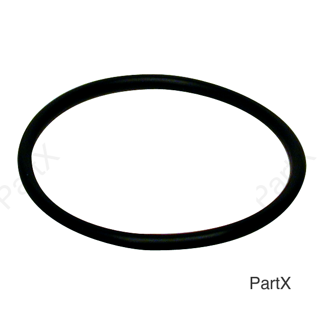O-Ring (84380)