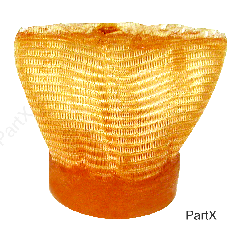 Fuel Filter (24820)