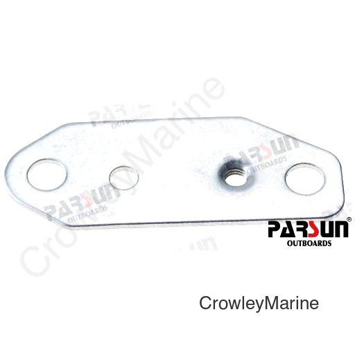 PLATE, MICROSWITCH