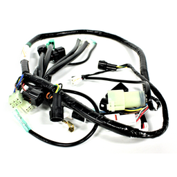 Wire Harness Assembly